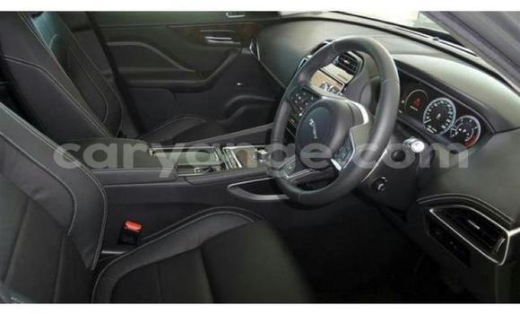 Buy Used Jaguar F-Pace Other Car in Windhoek in Namibia Buy Used Jaguar F-Pace Other Car in Windhoek in Namibia