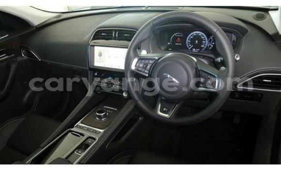 Buy Used Jaguar F-Pace Other Car in Windhoek in Namibia Buy Used Jaguar F-Pace Other Car in Windhoek in Namibia