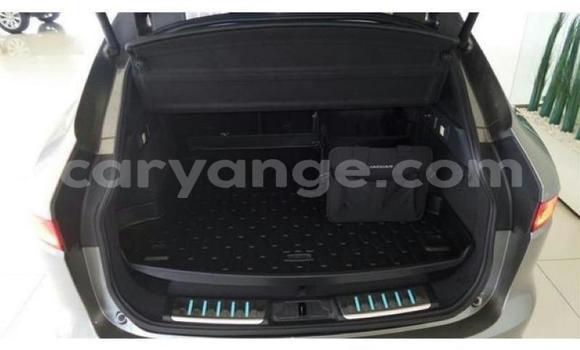 Buy Used Jaguar F-Pace Other Car in Windhoek in Namibia Buy Used Jaguar F-Pace Other Car in Windhoek in Namibia