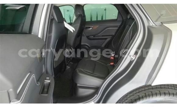 Buy Used Jaguar F-Pace Other Car in Windhoek in Namibia Buy Used Jaguar F-Pace Other Car in Windhoek in Namibia