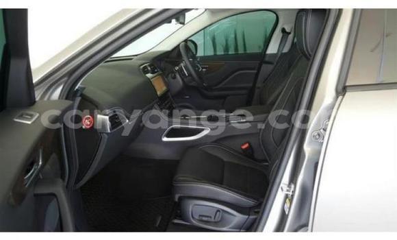 Buy Used Jaguar F-Pace Other Car in Windhoek in Namibia Buy Used Jaguar F-Pace Other Car in Windhoek in Namibia