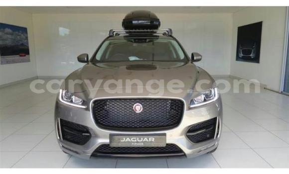 Buy Used Jaguar F-Pace Other Car in Windhoek in Namibia Buy Used Jaguar F-Pace Other Car in Windhoek in Namibia
