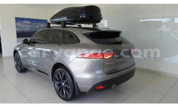 Buy Used Jaguar F-Pace Other Car in Windhoek in Namibia Buy Used Jaguar F-Pace Other Car in Windhoek in Namibia