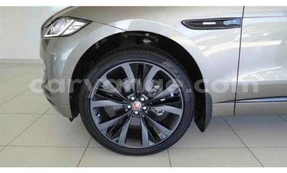 Buy Used Jaguar F-Pace Other Car in Windhoek in Namibia Buy Used Jaguar F-Pace Other Car in Windhoek in Namibia
