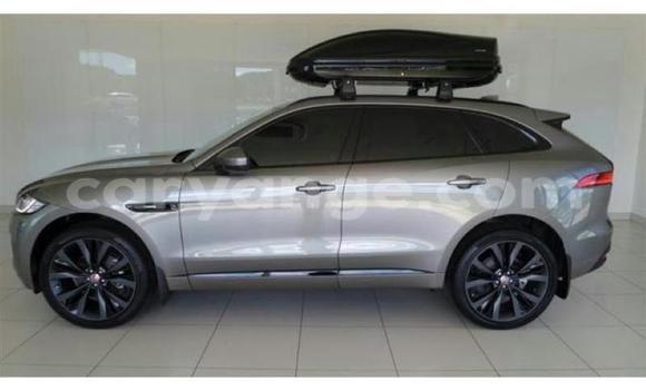 Buy Used Jaguar F-Pace Other Car in Windhoek in Namibia Buy Used Jaguar F-Pace Other Car in Windhoek in Namibia