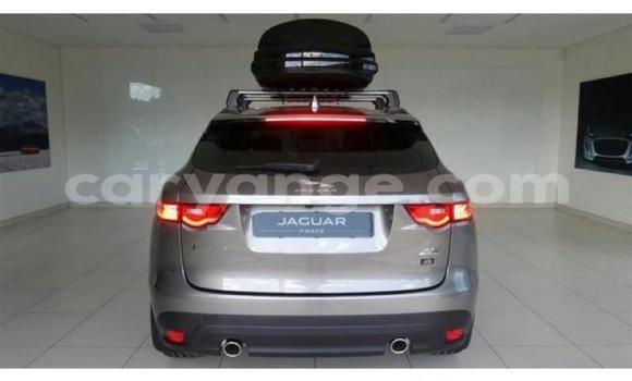 Buy Used Jaguar F-Pace Other Car in Windhoek in Namibia Buy Used Jaguar F-Pace Other Car in Windhoek in Namibia