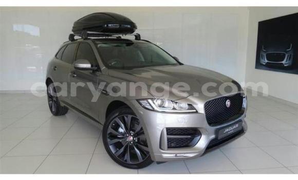 Buy Used Jaguar F-Pace Other Car in Windhoek in Namibia Buy Used Jaguar F-Pace Other Car in Windhoek in Namibia
