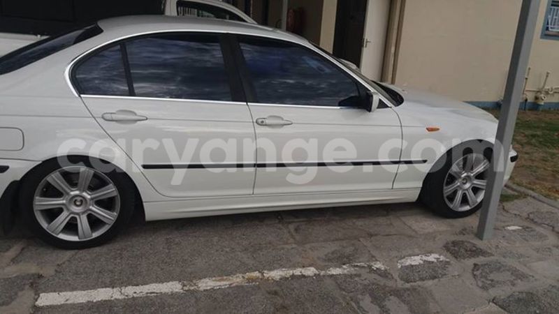 Big with watermark 14695326 1276538865723864 3907257530309395993 n