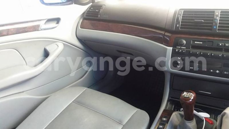 Big with watermark 14937420 10210899464142563 5142262507148257599 n