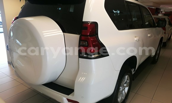 Acheter Occasion Voiture Toyota Prado Blanc à Karasburg, Karas Acheter Occasion Voiture Toyota Prado Blanc à Karasburg, Karas