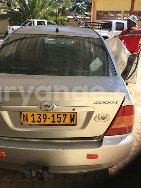 Big with watermark 14572839 1276538899057194 7605807282165903254 n