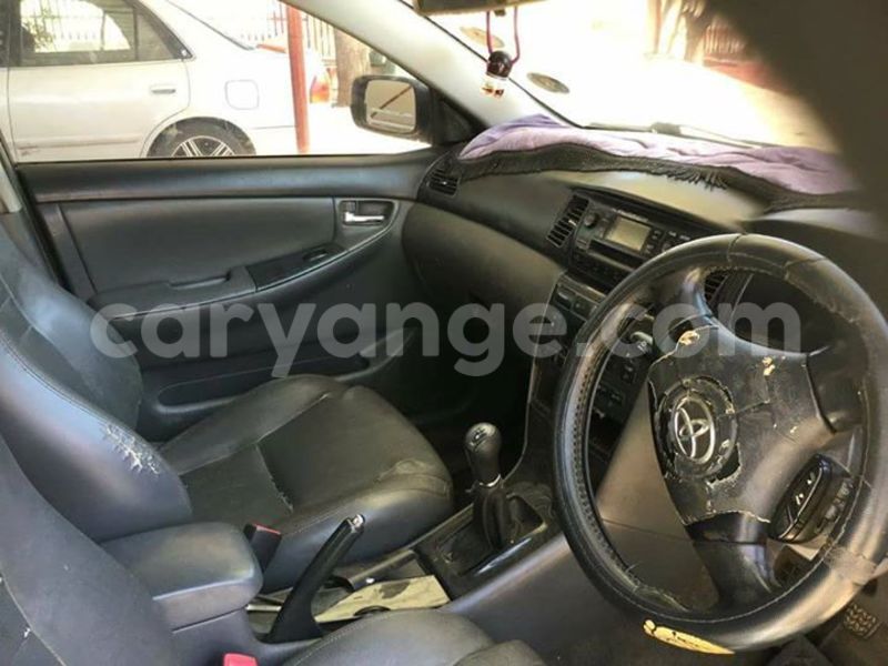 Big with watermark 14937420 10210899464142563 5142262507148257599 n