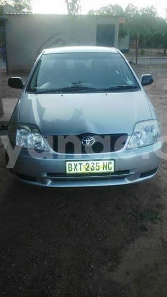 Big with watermark 14572839 1276538899057194 7605807282165903254 n