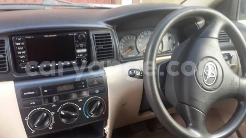 Big with watermark 14695326 1276538865723864 3907257530309395993 n