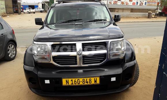 Buy Used Dodge Caliber Black Car in Windhoek in Namibia