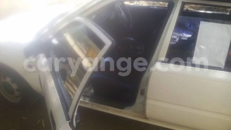 Big with watermark 15285033 1129442643839909 5134408343826197814 n