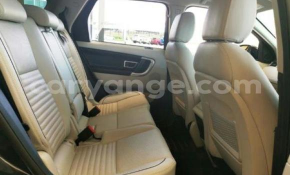 Buy Used Land Rover Discovery Other Car in Windhoek in Namibia Buy Used Land Rover Discovery Other Car in Windhoek in Namibia