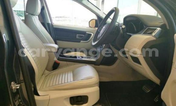 Buy Used Land Rover Discovery Other Car in Windhoek in Namibia Buy Used Land Rover Discovery Other Car in Windhoek in Namibia