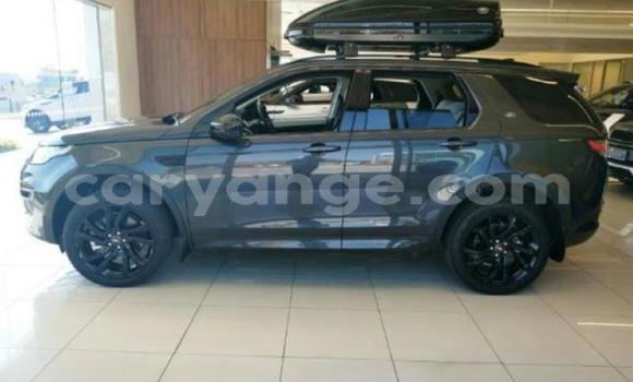 Buy Used Land Rover Discovery Other Car in Windhoek in Namibia Buy Used Land Rover Discovery Other Car in Windhoek in Namibia