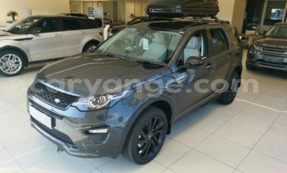 Buy Used Land Rover Discovery Other Car in Windhoek in Namibia Buy Used Land Rover Discovery Other Car in Windhoek in Namibia
