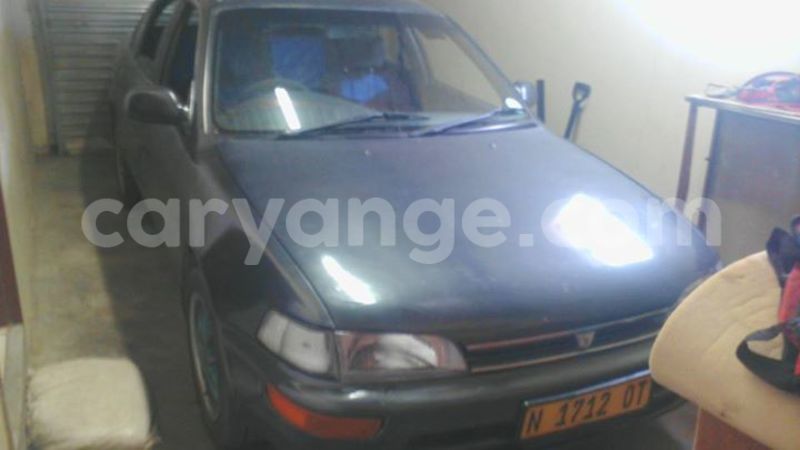 Big with watermark 15285033 1129442643839909 5134408343826197814 n