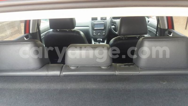 Big with watermark 15284065 1129442633839910 5230908860684797680 n