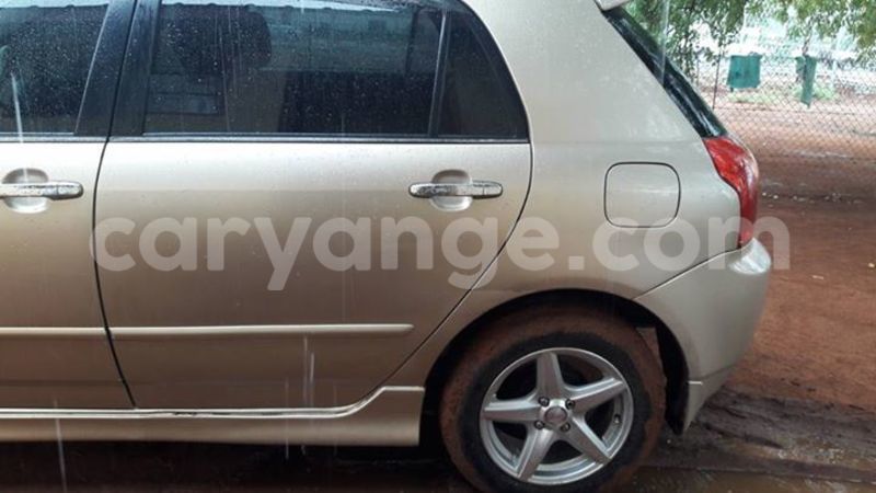 Big with watermark 15578737 1281570078576389 5086098407229006862 n