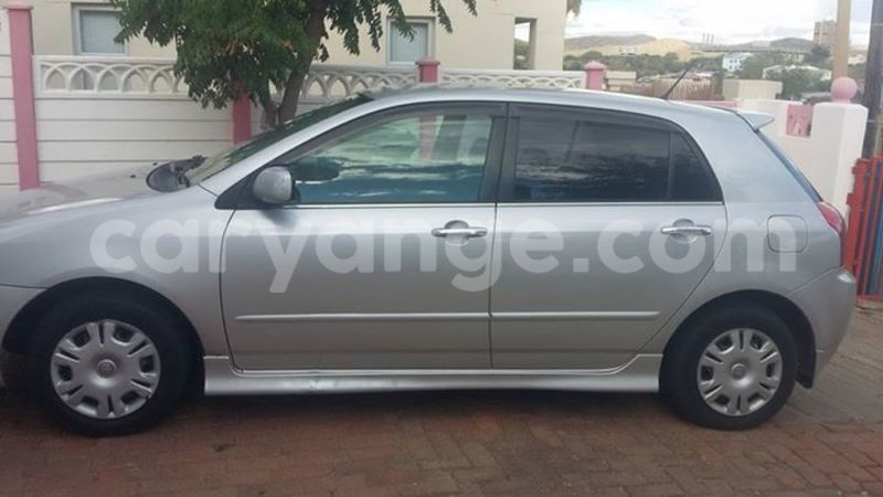 Big with watermark 15285033 1129442643839909 5134408343826197814 n