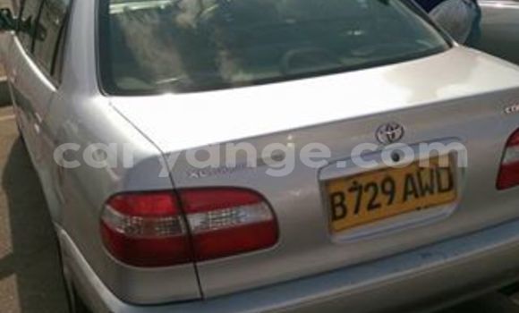 Buy Used Toyota Corolla Silver Car in Windhoek in Namibia Buy Used Toyota Corolla Silver Car in Windhoek in Namibia