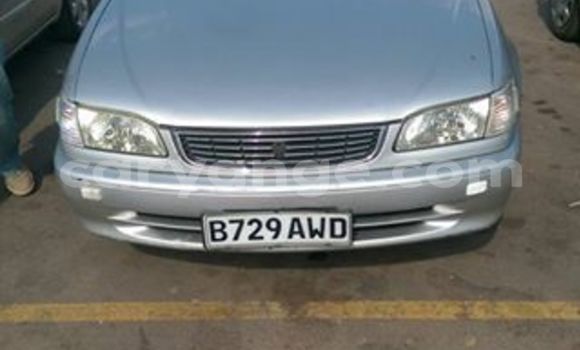 Buy Used Toyota Corolla Silver Car in Windhoek in Namibia Buy Used Toyota Corolla Silver Car in Windhoek in Namibia