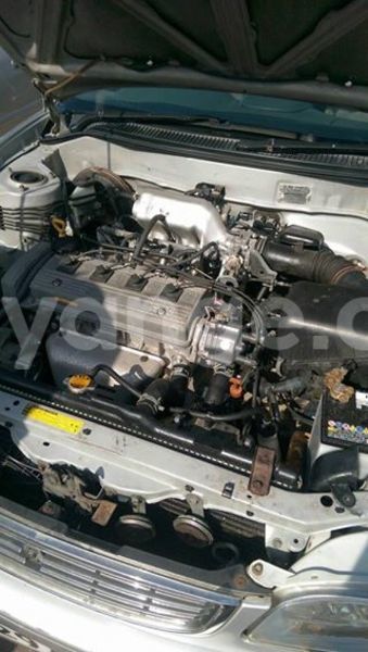 Big with watermark 15578737 1281570078576389 5086098407229006862 n