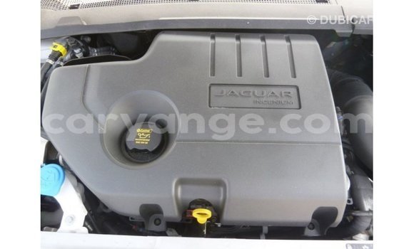 Buy Import Jaguar E-Pace White Car in Import - Dubai in Namibia Buy Import Jaguar E-Pace White Car in Import - Dubai in Namibia