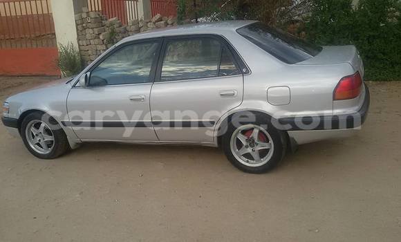 Buy Used Toyota Corolla Silver Car in Windhoek in Namibia Buy Used Toyota Corolla Silver Car in Windhoek in Namibia