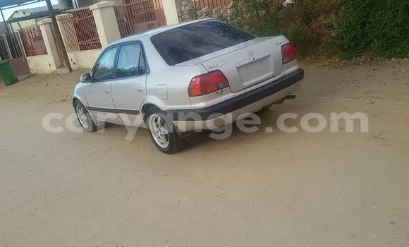 Buy Used Toyota Corolla Silver Car in Windhoek in Namibia Buy Used Toyota Corolla Silver Car in Windhoek in Namibia
