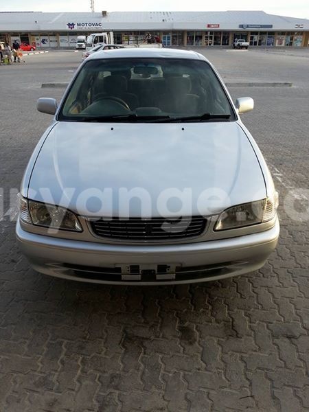 Big with watermark 15284065 1129442633839910 5230908860684797680 n