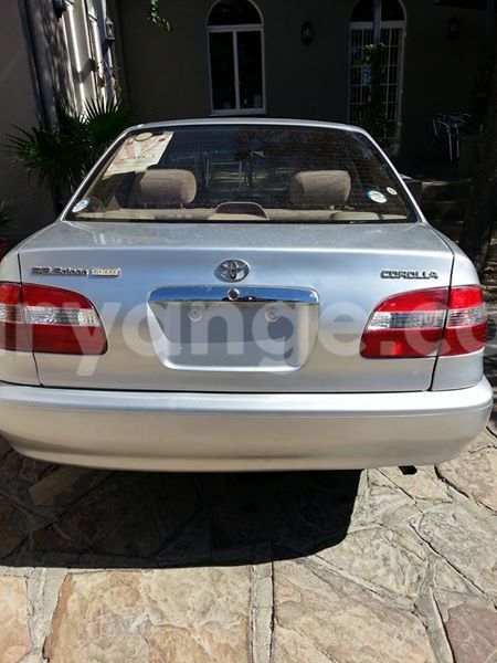 Big with watermark 15285033 1129442643839909 5134408343826197814 n