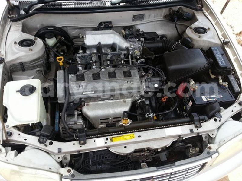 Big with watermark 15578737 1281570078576389 5086098407229006862 n