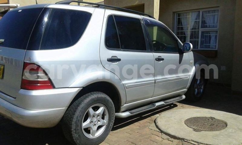 Big with watermark 2016 12 12 01 51 11 fb img 14811057044849179 800 640 0