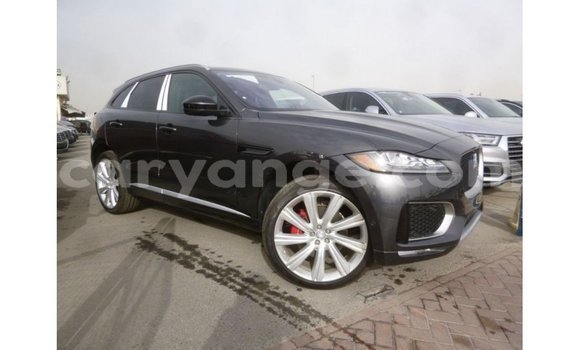 Buy Import Jaguar F-Type Black Car in Import - Dubai in Namibia