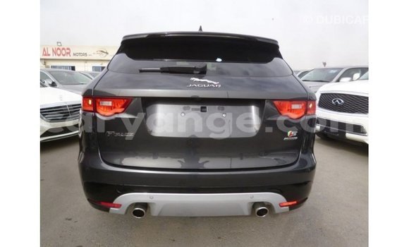 Buy Import Jaguar F-Type Black Car in Import - Dubai in Namibia Buy Import Jaguar F-Type Black Car in Import - Dubai in Namibia