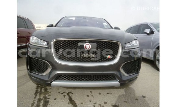 Buy Import Jaguar F-Type Black Car in Import - Dubai in Namibia Buy Import Jaguar F-Type Black Car in Import - Dubai in Namibia