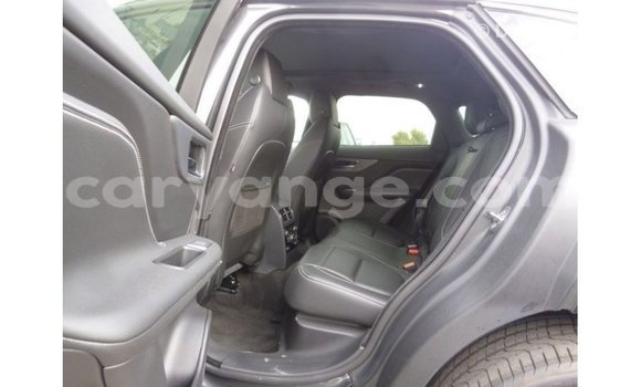 Buy Import Jaguar F-Type Black Car in Import - Dubai in Namibia Buy Import Jaguar F-Type Black Car in Import - Dubai in Namibia