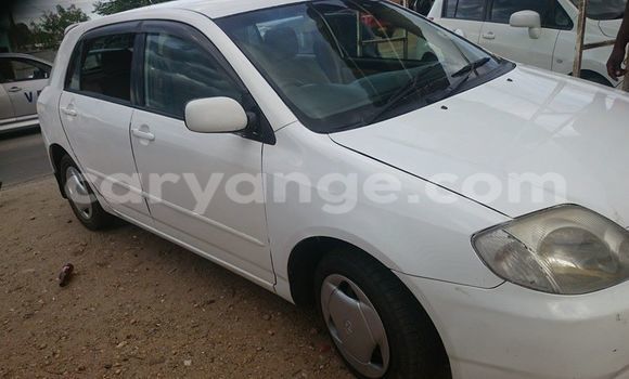 Acheter Occasion Voiture Toyota Runx Blanc à Windhoek, Namibie Acheter Occasion Voiture Toyota Runx Blanc à Windhoek, Namibie
