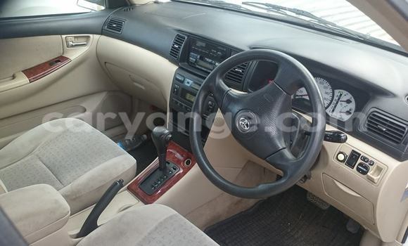 Acheter Occasion Voiture Toyota Runx Blanc à Windhoek, Namibie Acheter Occasion Voiture Toyota Runx Blanc à Windhoek, Namibie