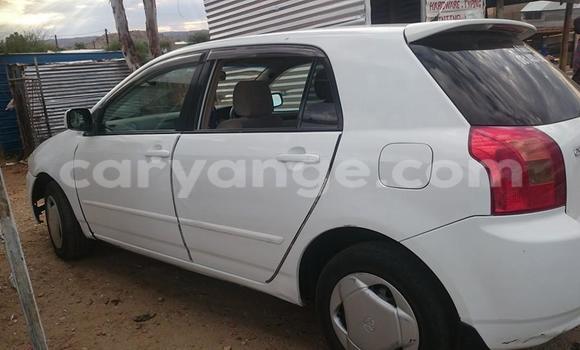 Acheter Occasion Voiture Toyota Runx Blanc à Windhoek, Namibie Acheter Occasion Voiture Toyota Runx Blanc à Windhoek, Namibie