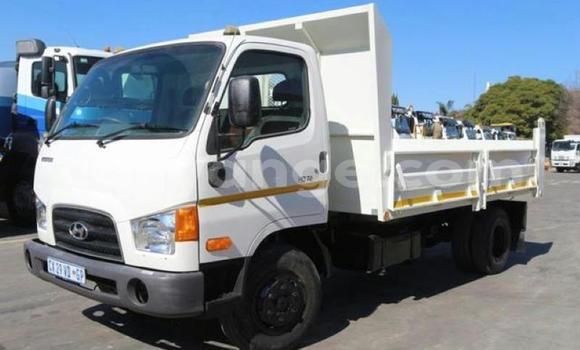 Buy Used Hyundai H200 White Truck in Karasburg in Karas