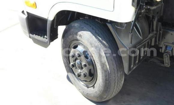 Acheter Occasion Utilitaire Hyundai H200 Blanc à Karasburg, Karas Acheter Occasion Utilitaire Hyundai H200 Blanc à Karasburg, Karas