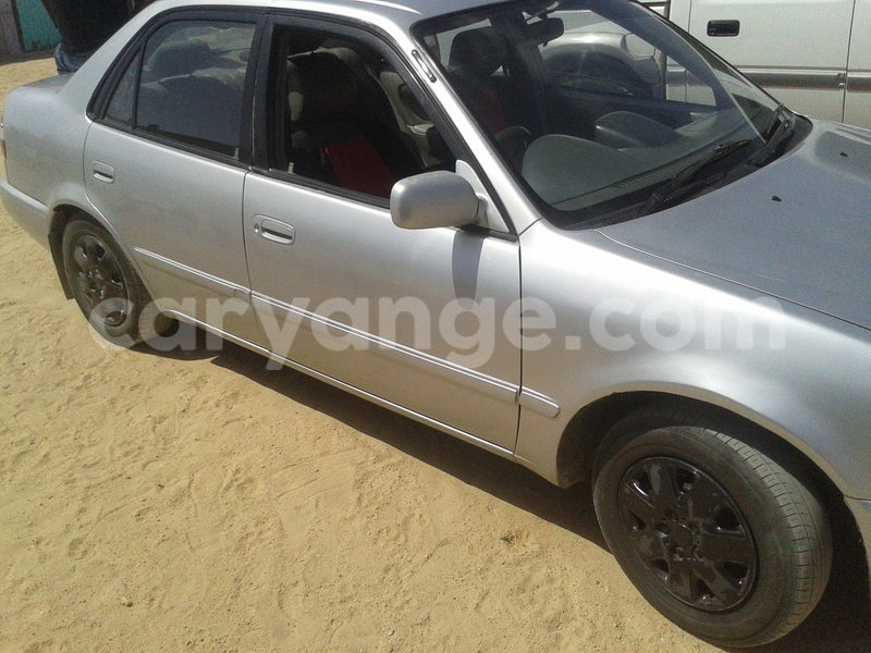 Big with watermark 2016 12 25 15.26.38