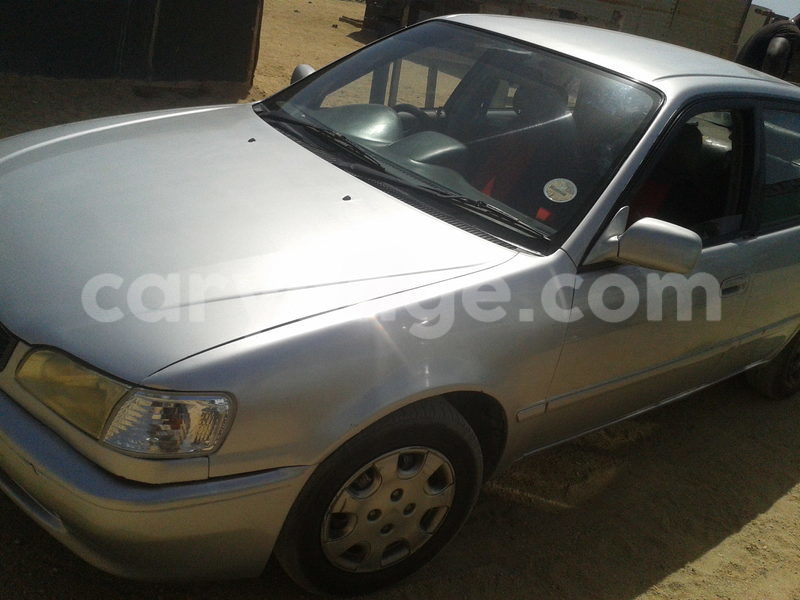 Big with watermark 2016 12 25 15.26.08