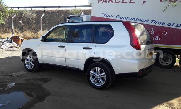 Buy Used Nissan X–Trail White Car in Windhoek in Namibia Buy Used Nissan X–Trail White Car in Windhoek in Namibia